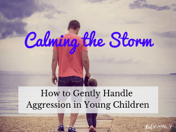Calming the storm: How to Gently Handle Aggression in Young Children