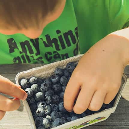 Child eating blueberries