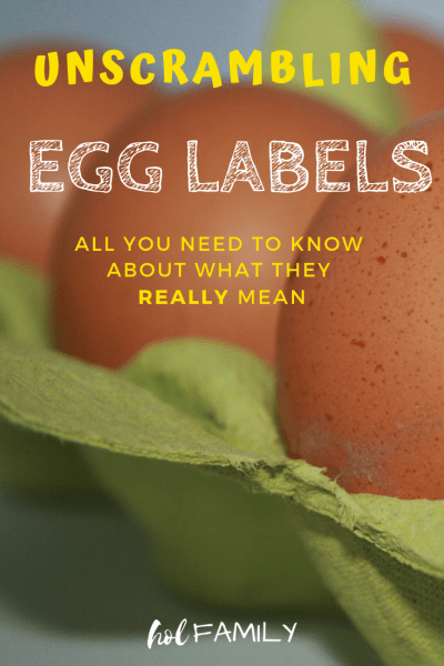 Unscrambling egg labels: all you need to know about what they really mean