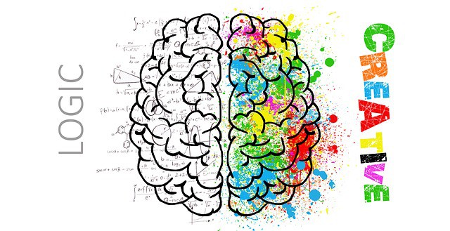 left brain logic and right brain creativity