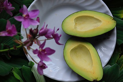 Cut Avocado on a Plate