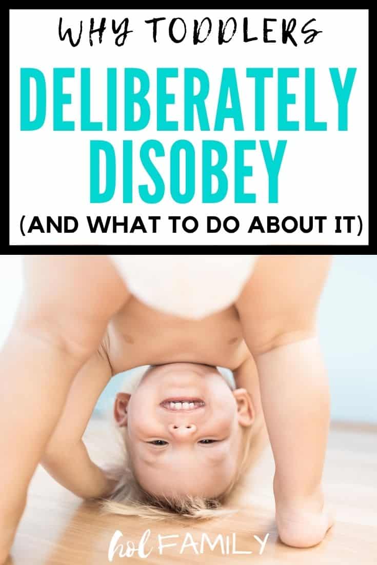 Why Toddlers Deliberately Disobey