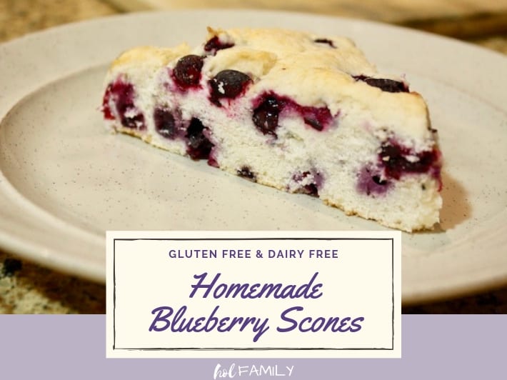 Gluten Free Dairy Free Blueberry Scones