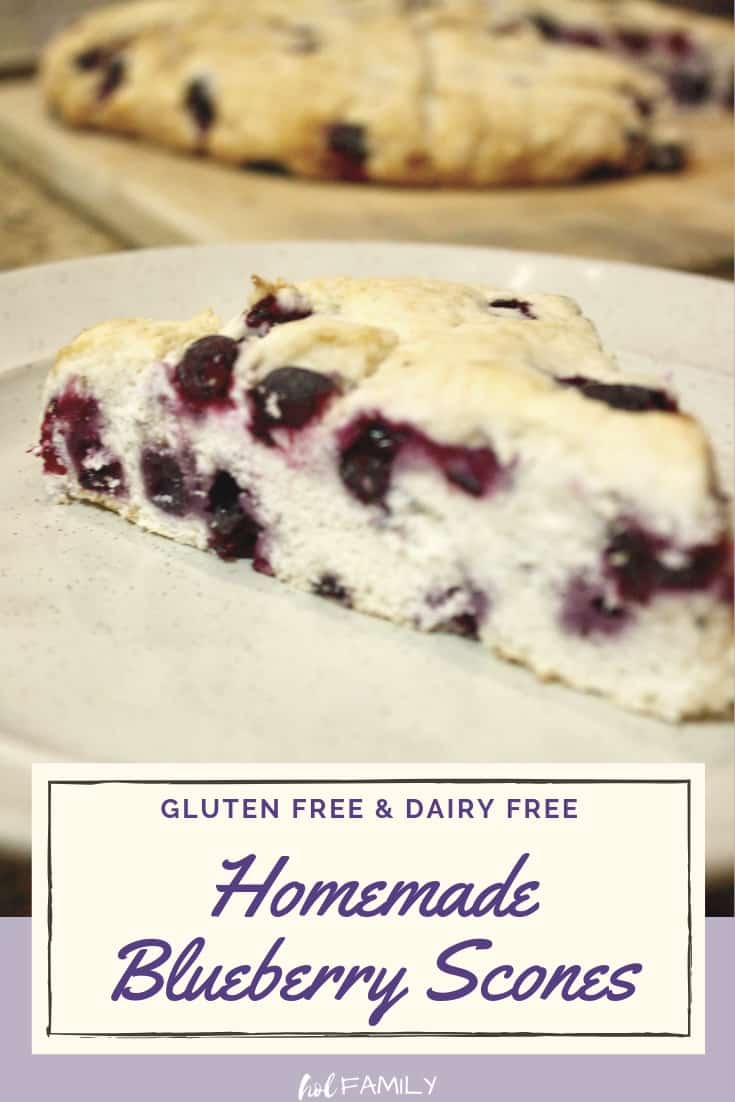 Gluten Free Dairy Free Blueberry Scones