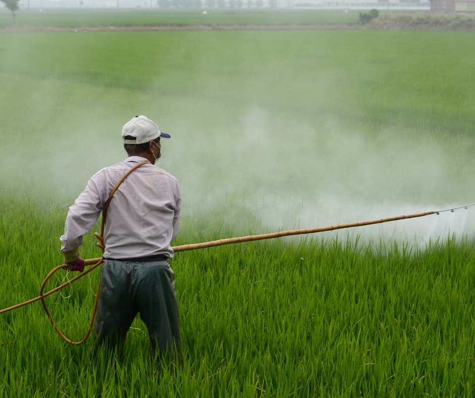 Man spraying pesticides