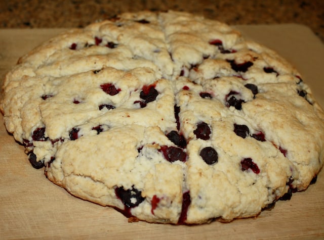 Gluten free dairy free scones