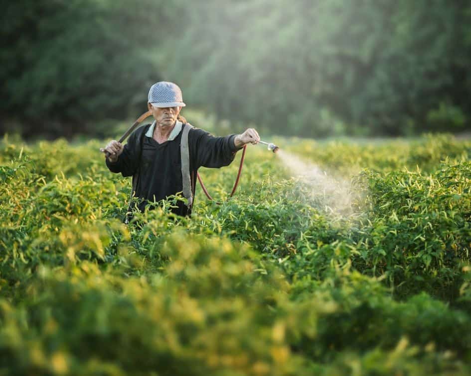 Glyphosate round-up toxic poison sprayed on produce