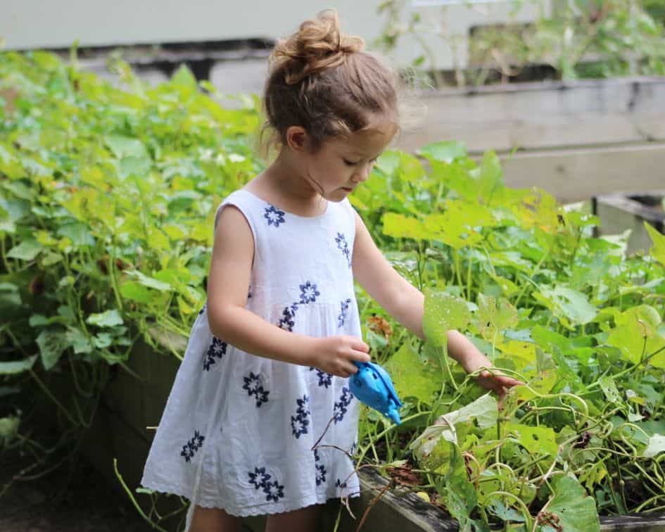 Little girl gardening