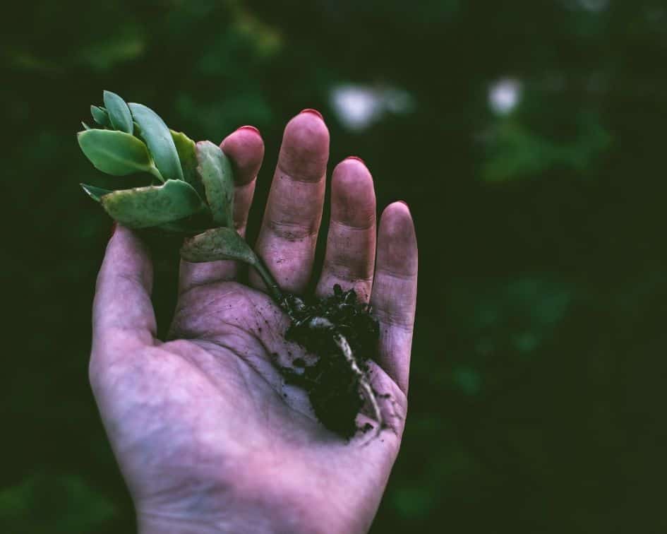 Get dirty for a healthy microbiome