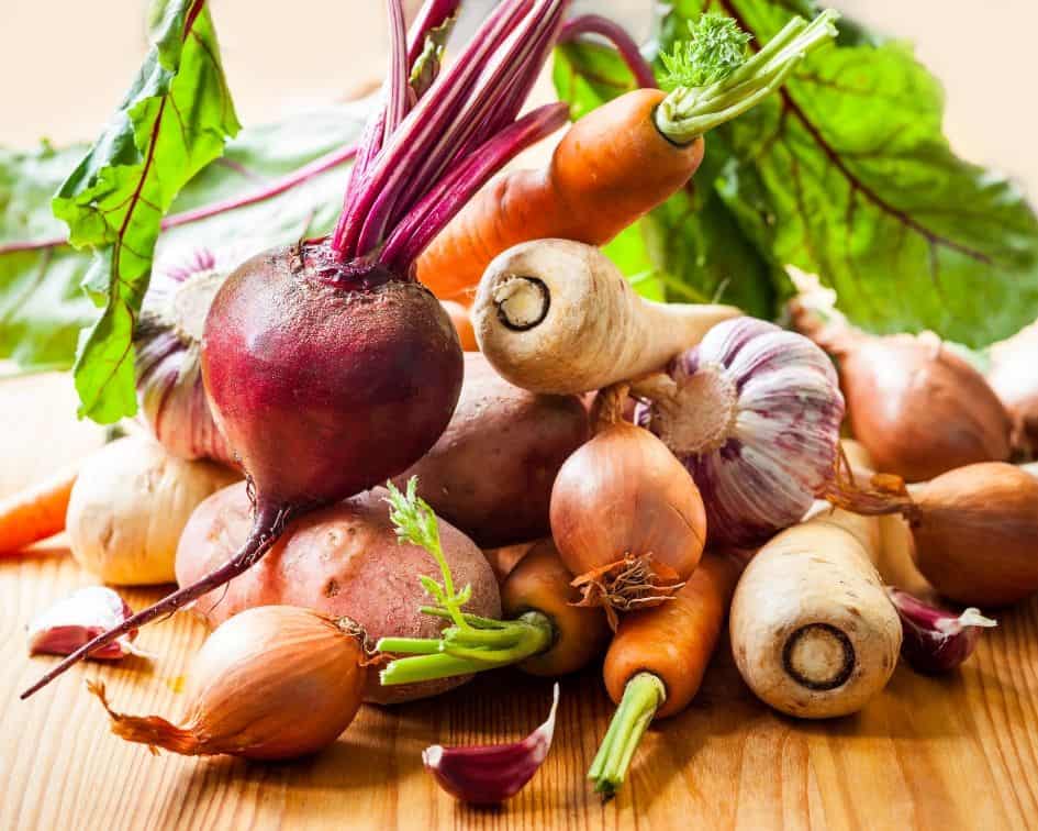 Root vegetables are probiotics