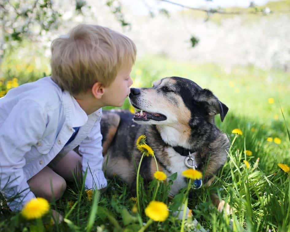 A dog helps with a healthy microbiome