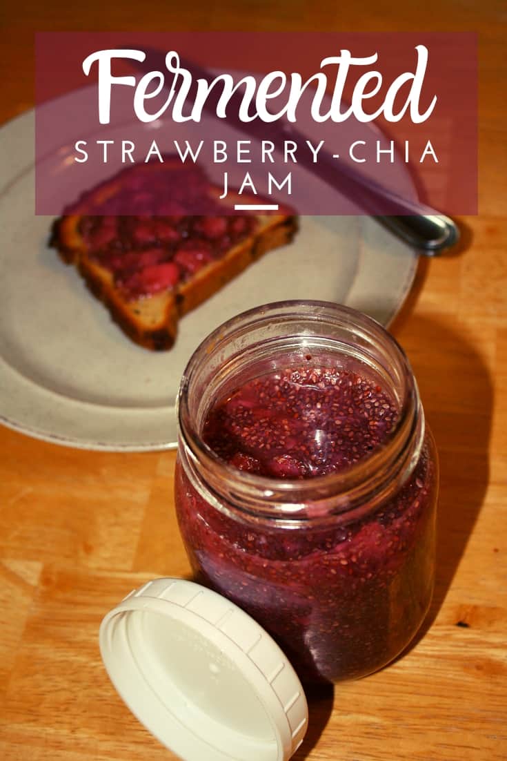 Fermented Strawberry Chia Jam