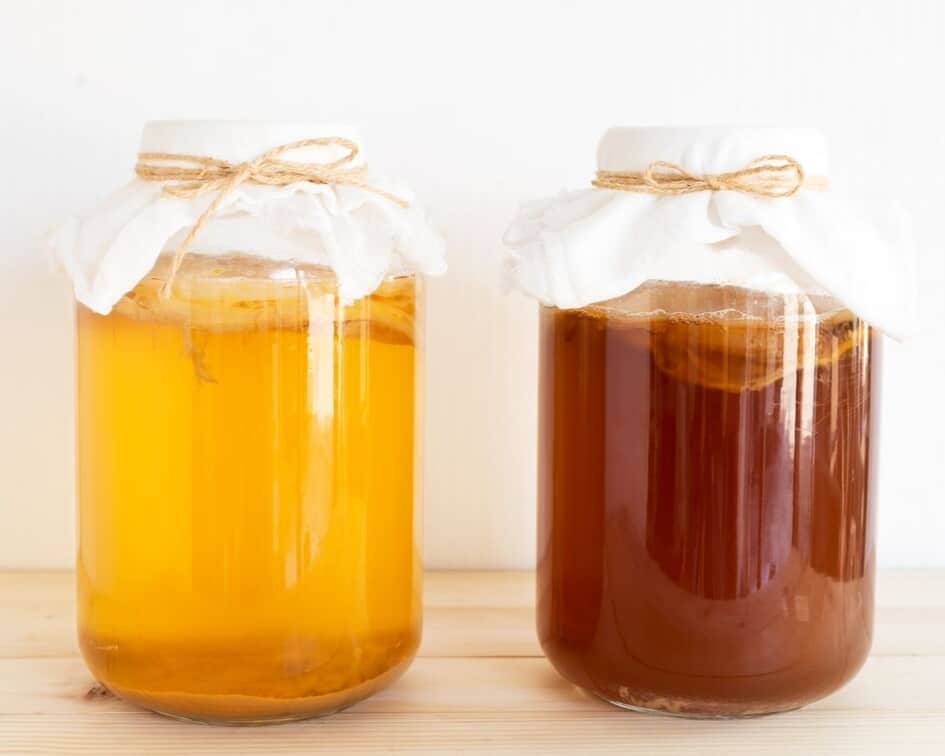 kombucha with SCOBYs