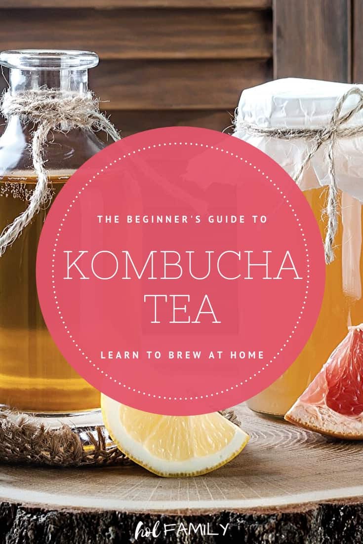 Kombucha For Beginners