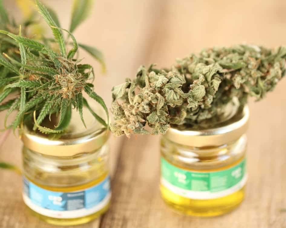 CBD for Kids with Autism and ADHD