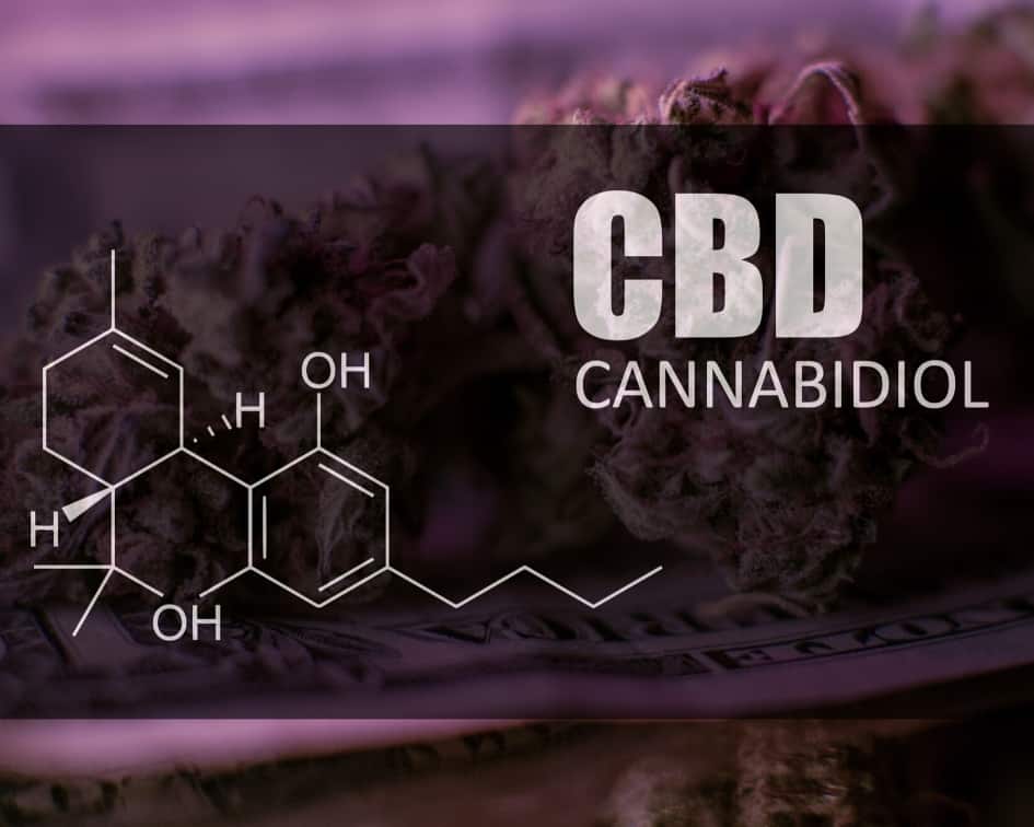 CBD for Kids with Autism and ADHD