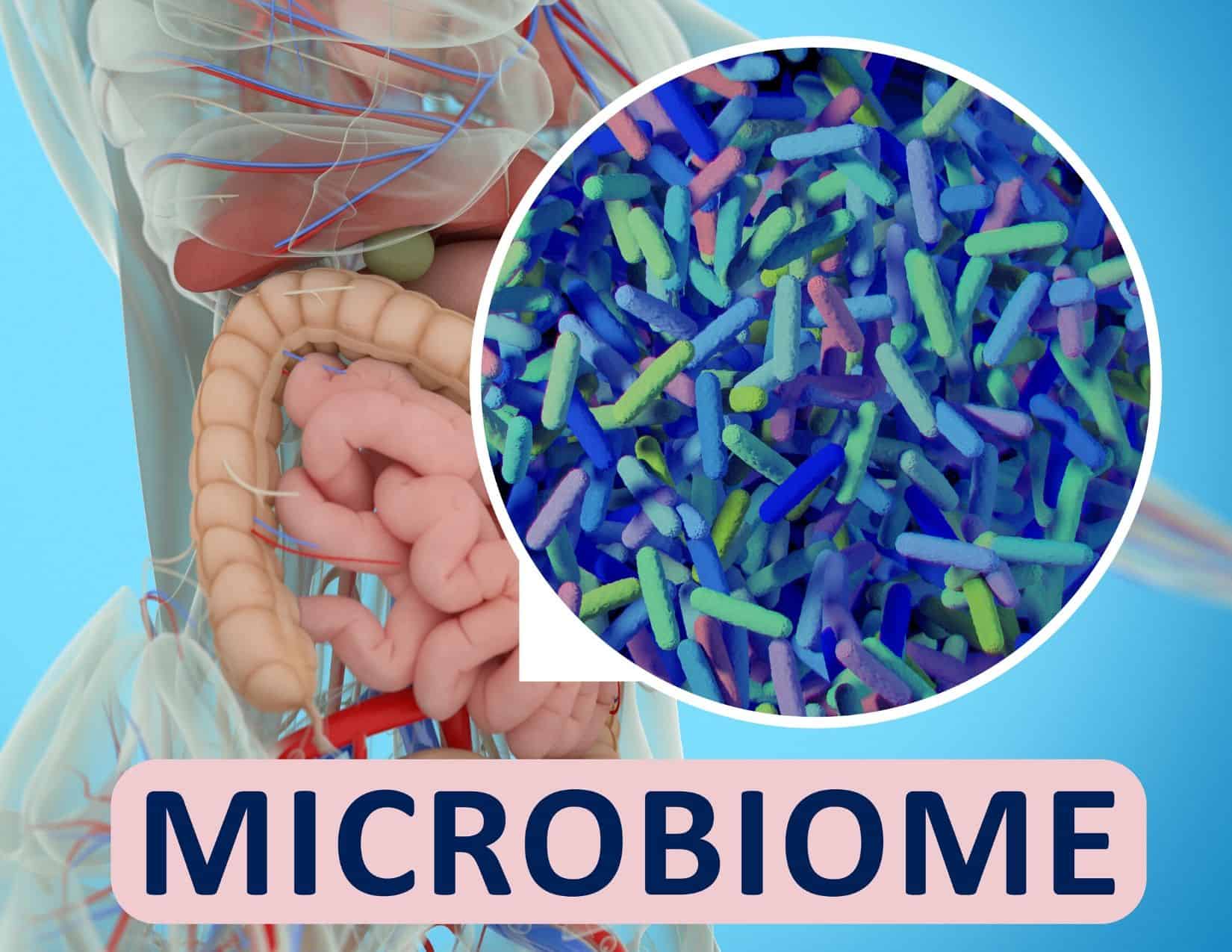 Microbiome